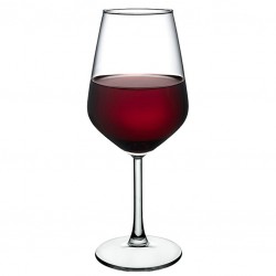 Calice ALLEGRA da Vino Rosso [PASABAHCE] 490ml