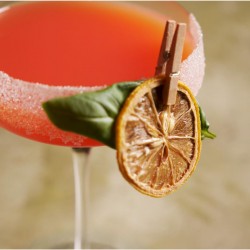 Mini NATURAL Wooden Clips for Cocktail Garnishes – Set of 50